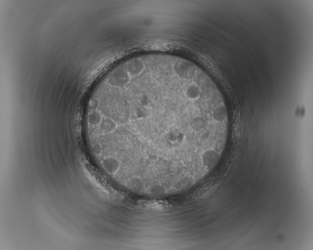 X0000114610683200911171035