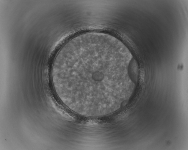 X0000114610684200911171035