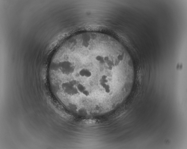 X0000114610687200911171035