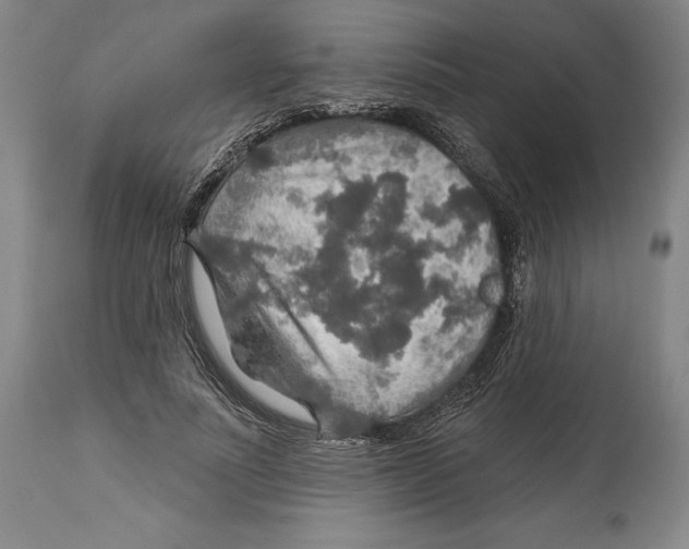 X0000114610691200911171035