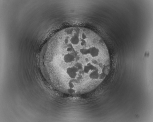 X0000114610695200911171035