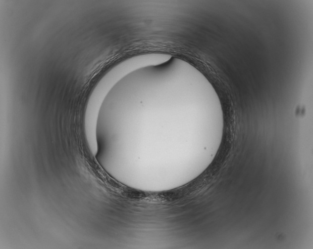 X0000114610696200911171035