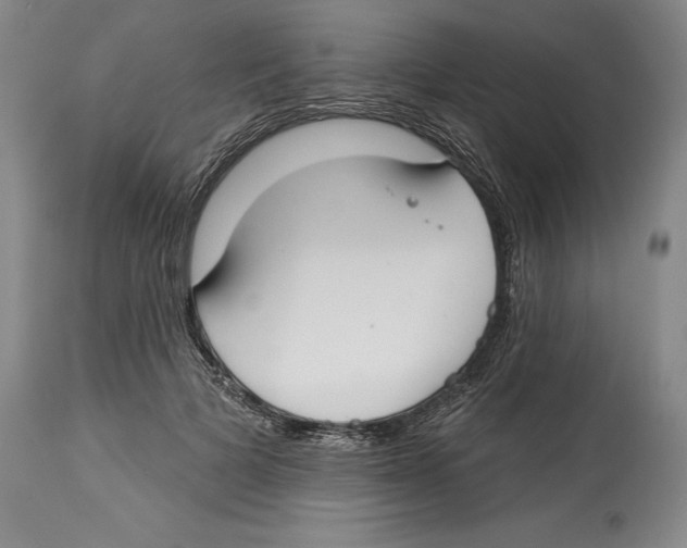 X0000114610697200911171035