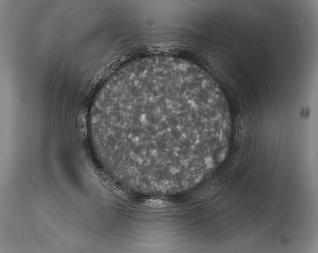 X0000114610699200911171035