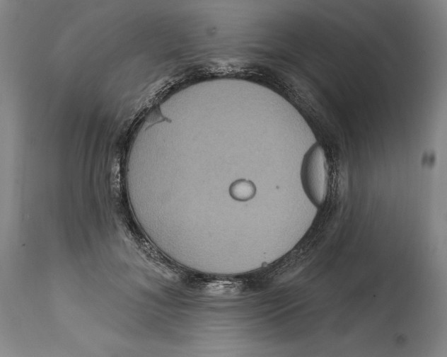 X0000114610700200911171035