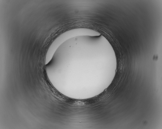 X0000114610701200911171035