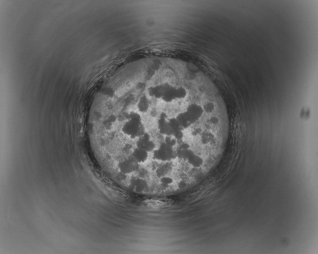 X0000114610703200911171035