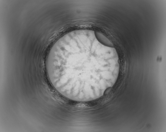 X0000114610704200911171035