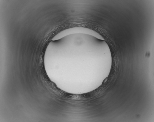 X0000114610705200911171035