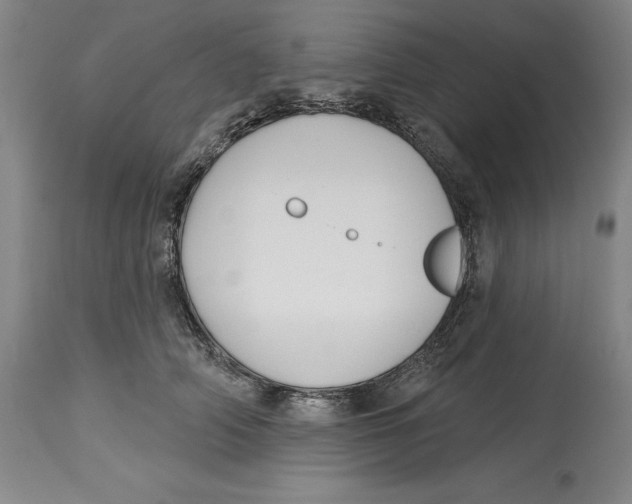 X0000114610706200911171035