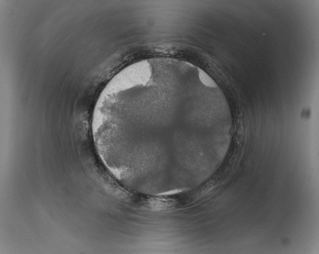 X0000114610707200911171035