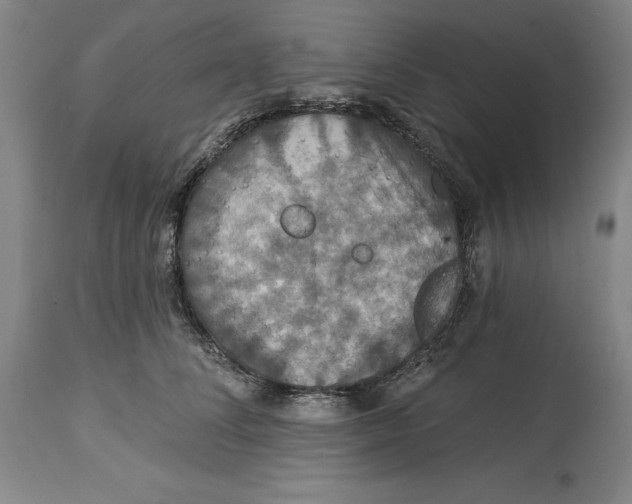 X0000114610708200911171035