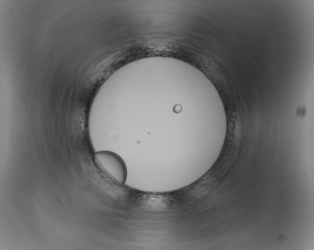 X0000114610710200911171035