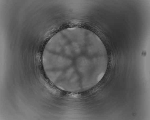 X0000114610711200911171035