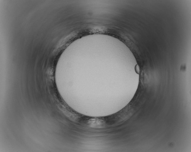 X0000114610714200911171035