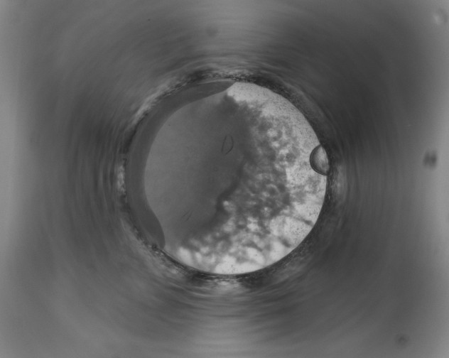 X0000114610715200911171035