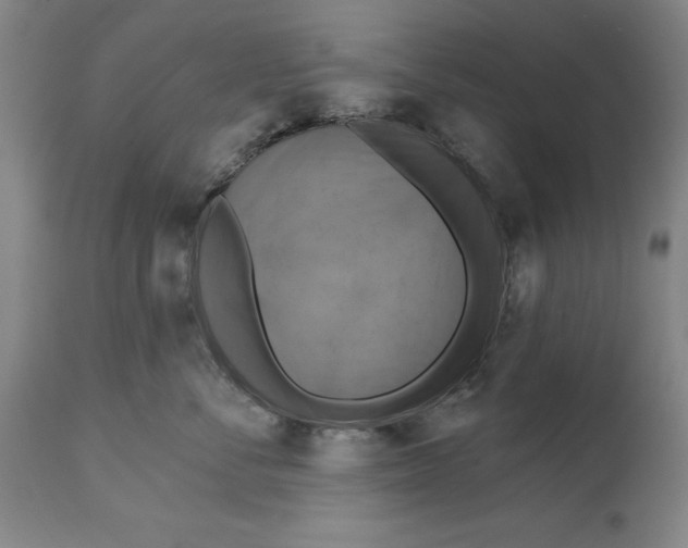 X0000114610716200911171035