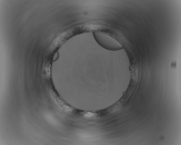 X0000114610718200911171035