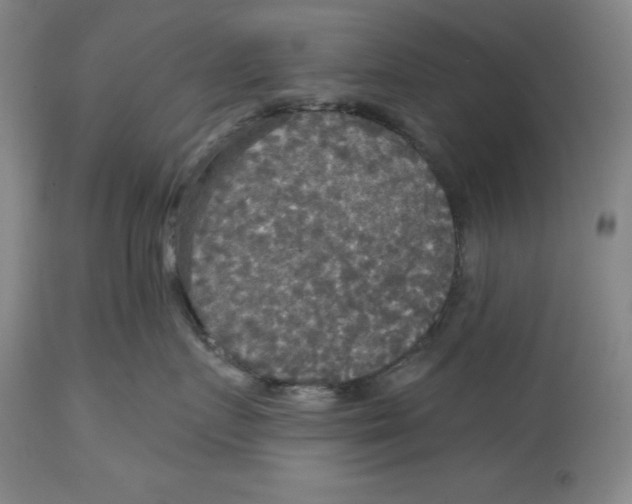 X0000114610719200911171035