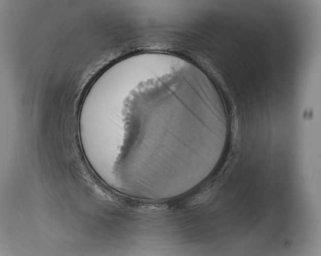 X0000114610721200911171034