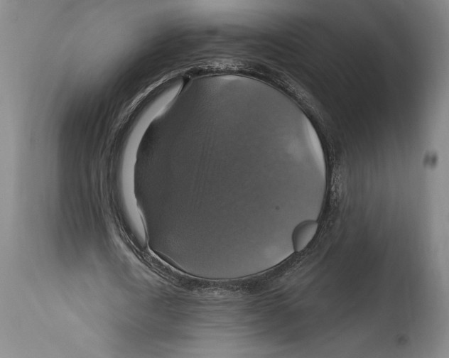 X0000114610722200911171034