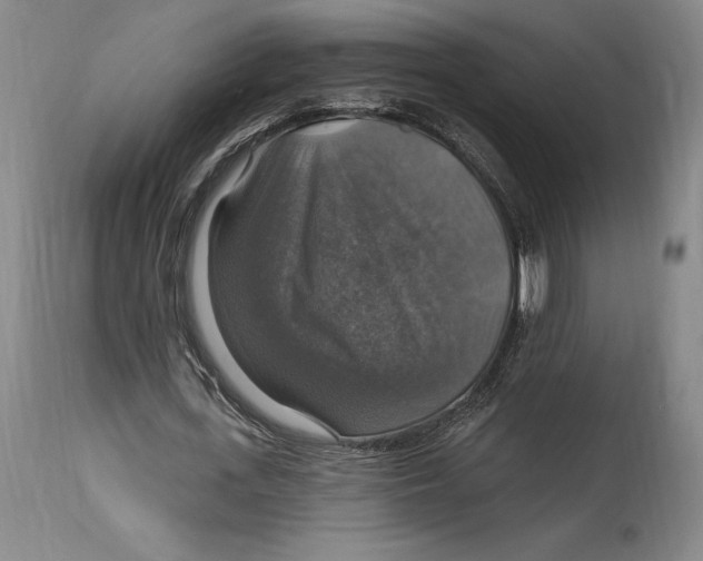 X0000114610723200911171034