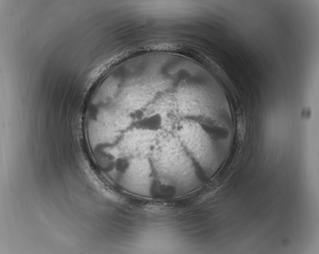 X0000114610725200911171034