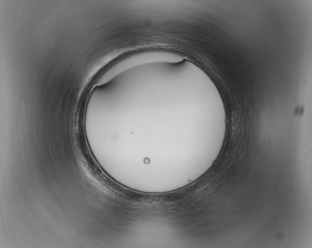 X0000114610726200911171034