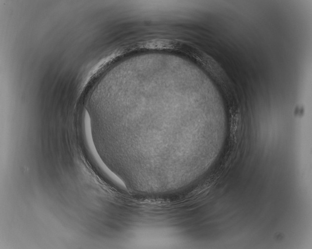 X0000114610727200911171034