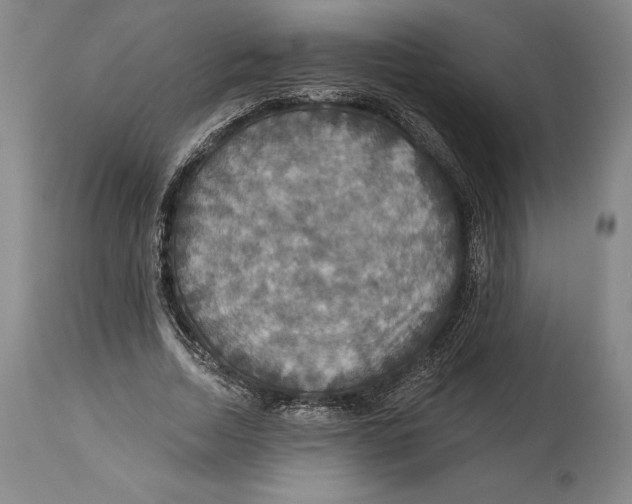 X0000114610730200911171034