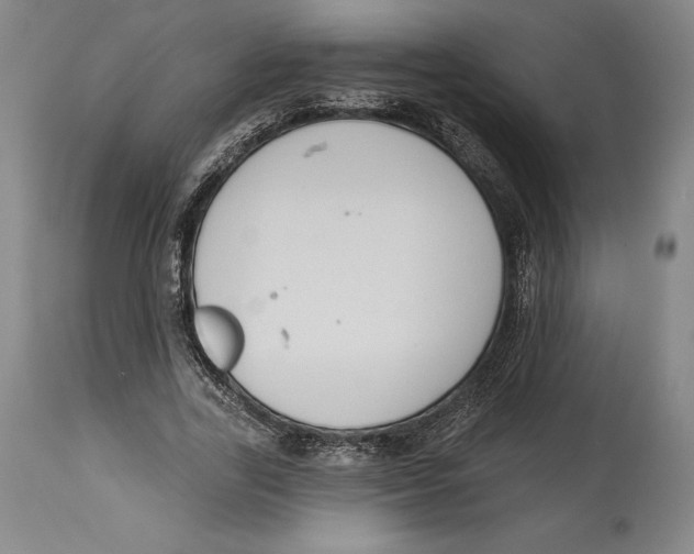 X0000114610731200911171034