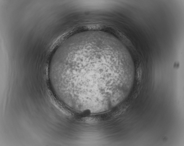 X0000114610733200911171034