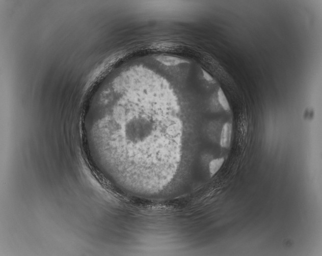 X0000114610734200911171034