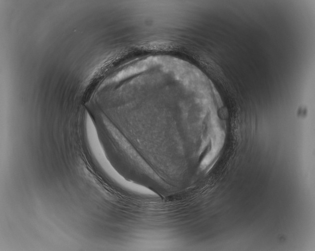 X0000114610735200911171034