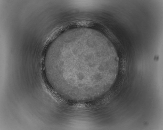 X0000114610738200911171034