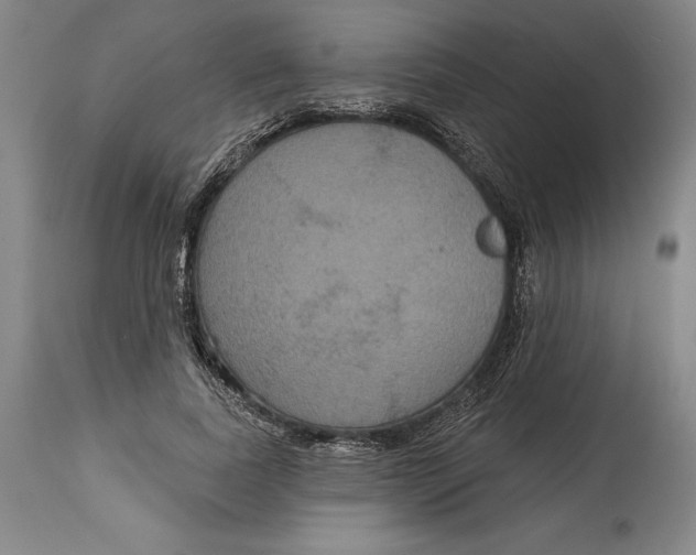 X0000114610739200911171034