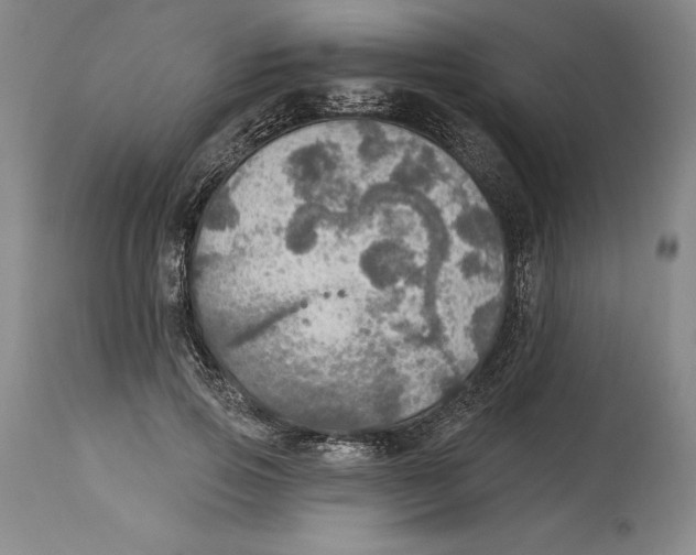 X0000114610741200911171034