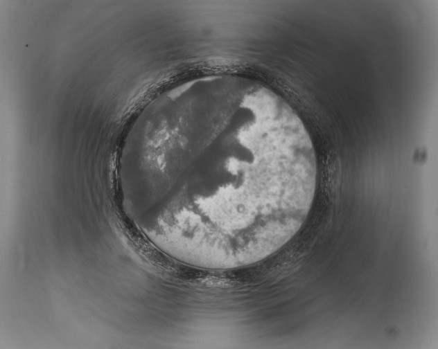 X0000114610742200911171034