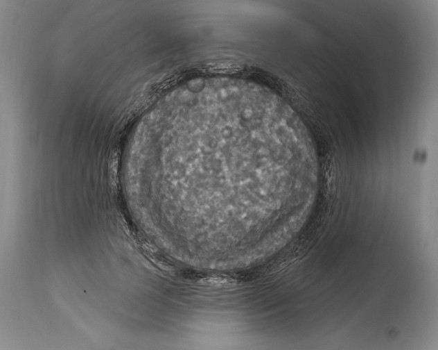 X0000114610745200911171034