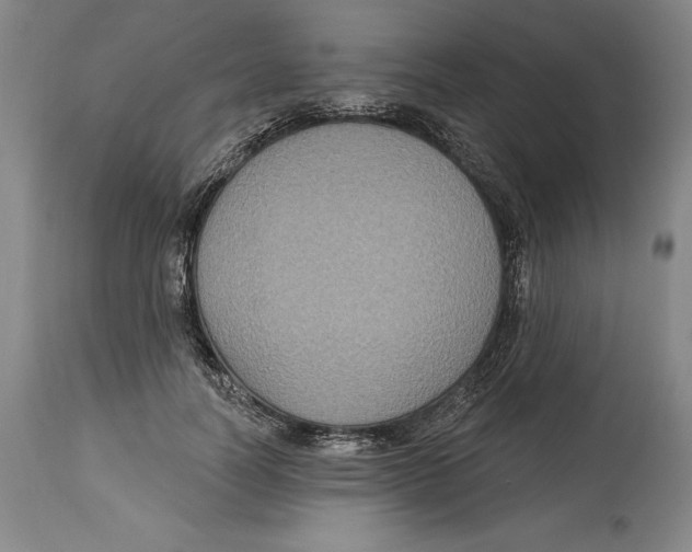 X0000114610746200911171034