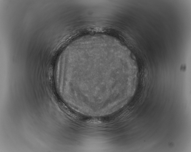 X0000114610747200911171034