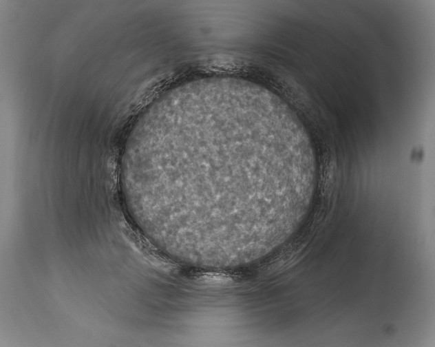 X0000114610749200911171034