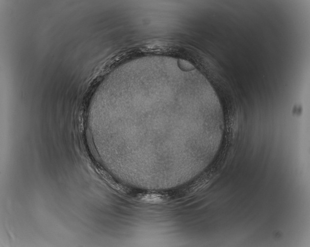 X0000114610751200911171034