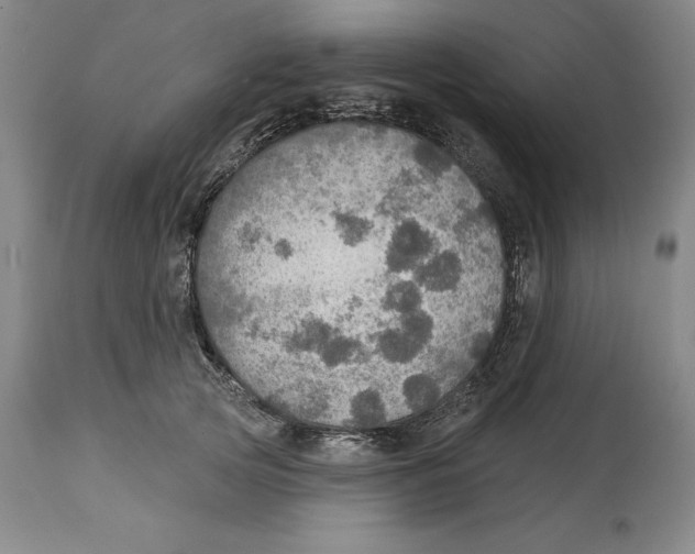 X0000114610753200911171034