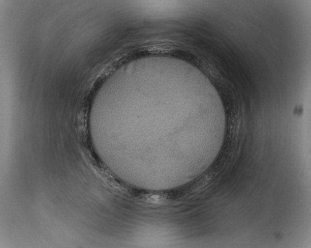 X0000114610755200911171034