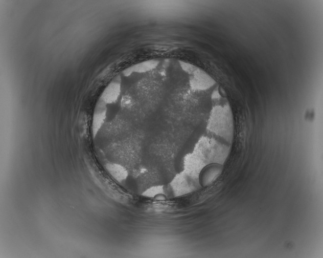 X0000114610758200911171034