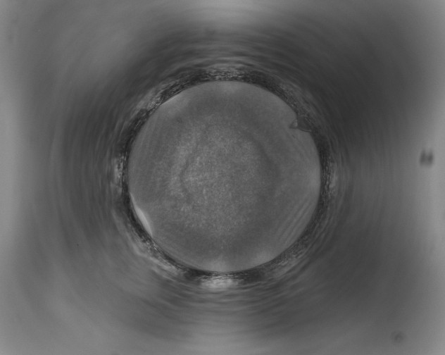 X0000114610759200911171034