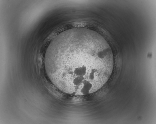 X0000114610761200911171035