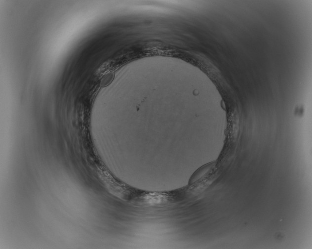 X0000114610762200911171035