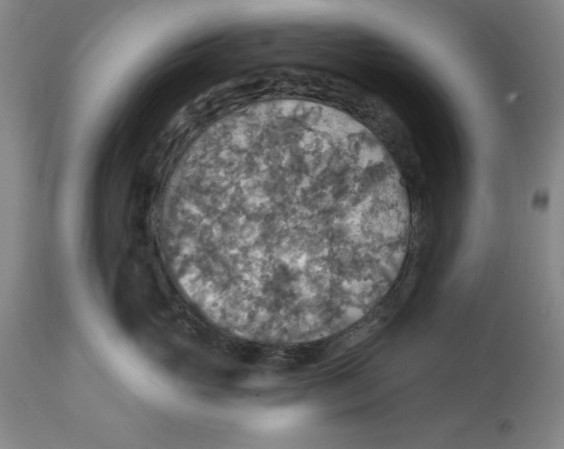 X0000114610765200911171035